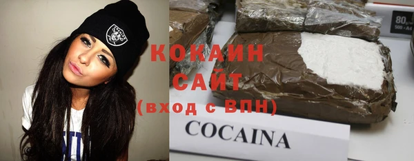 гашик Богородск