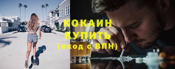 гашик Богородск