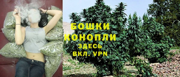 гашик Богородск