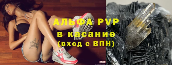 хмурый Богданович