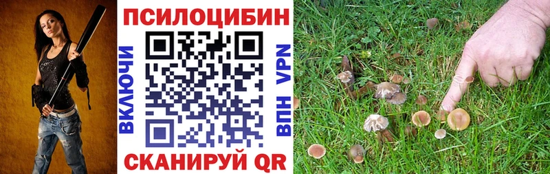 Галлюциногенные грибы мицелий  где купить наркоту  Горячий Ключ 